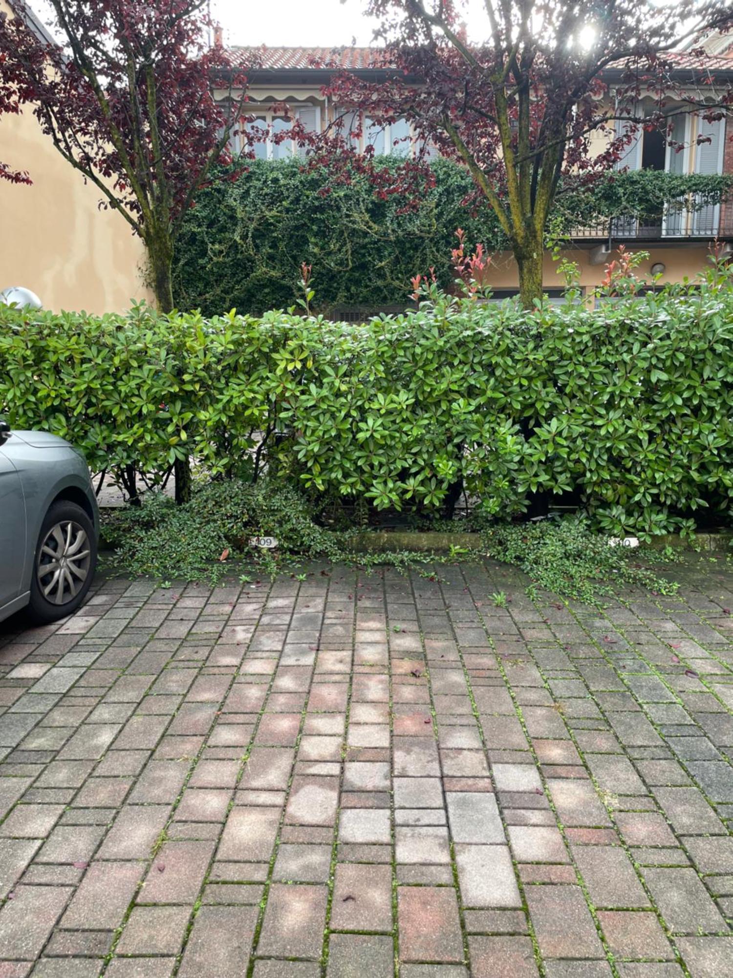 Gelsomino Appartamento Con Posto Auto Nel Centro Di מונצה מראה חיצוני תמונה